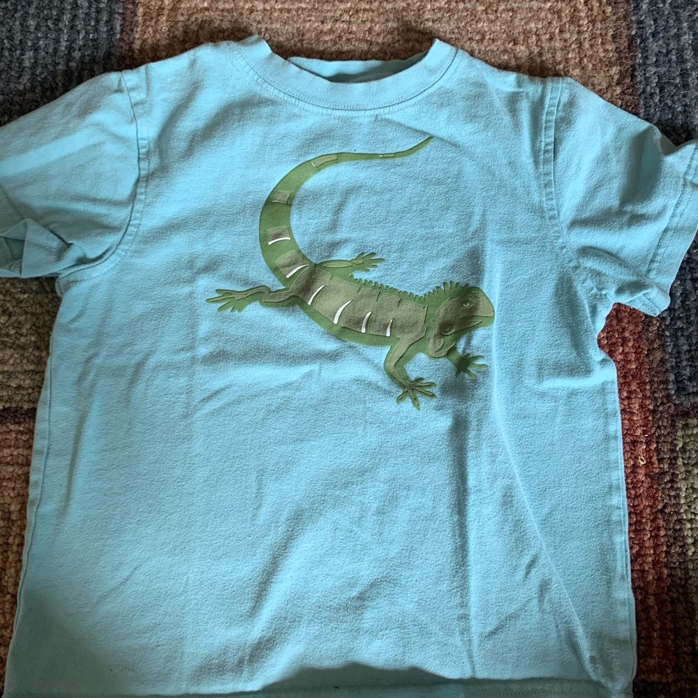 Gymboree shirt